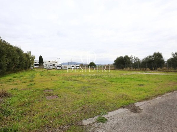 terreno agricolo in vendita a Grosseto