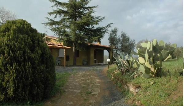 appartamento in vendita a Grosseto in zona Fattoria Grancia