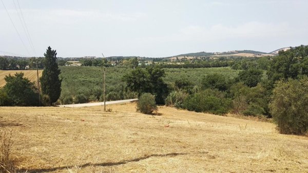 casale in vendita a Grosseto in zona Istia d'Ombrone-Le Stiacciole