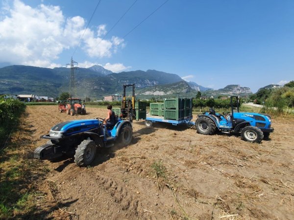 negozio in vendita a Grosseto in zona Centro Città