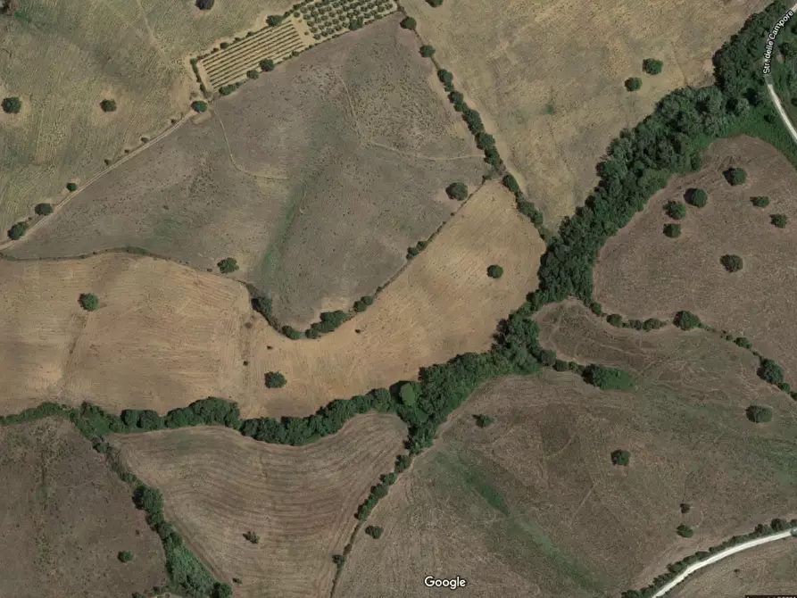 terreno agricolo in vendita a Grosseto