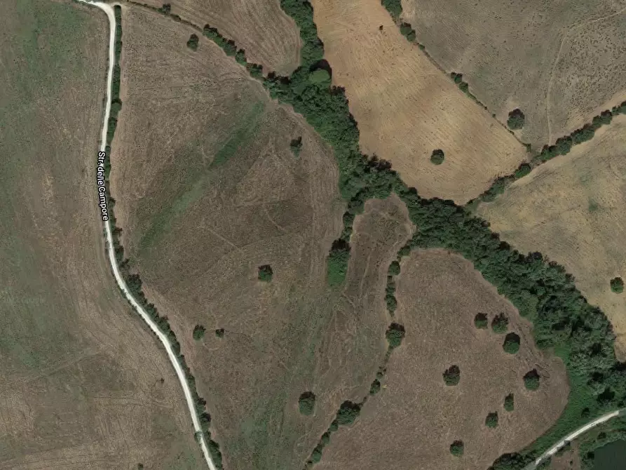 terreno agricolo in vendita a Grosseto