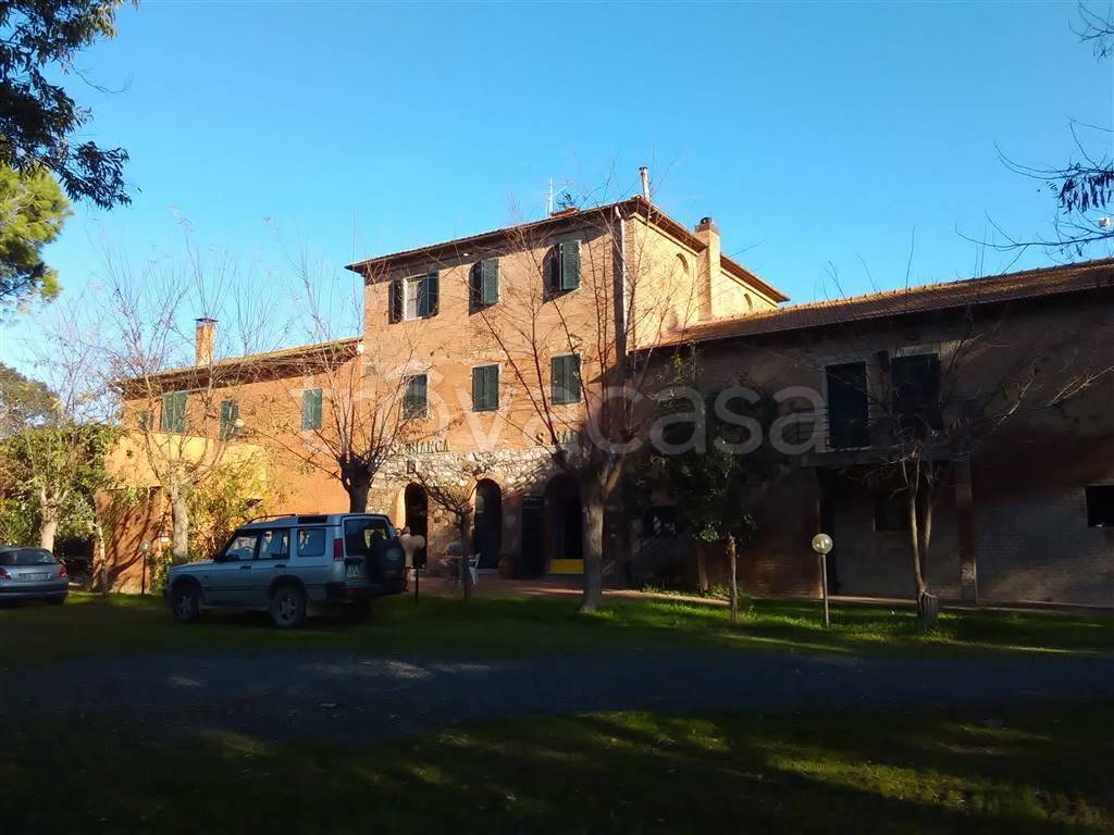 azienda agricola in vendita a Grosseto in zona La Principina
