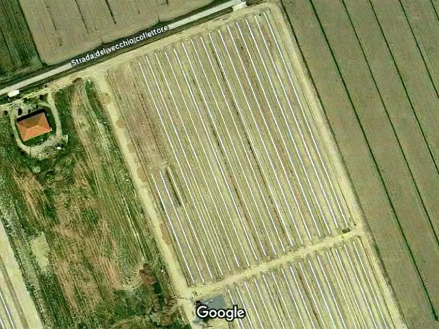 terreno agricolo in vendita a Grosseto