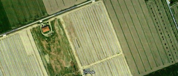 terreno agricolo in vendita a Grosseto