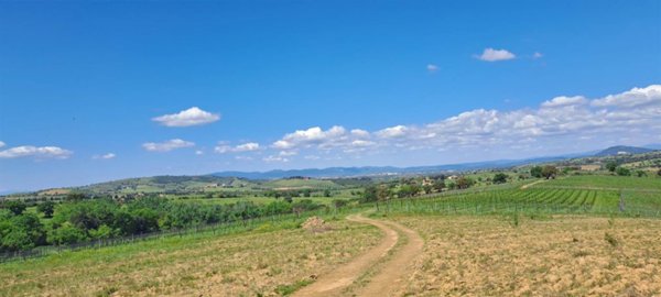 casa indipendente in vendita a Grosseto in zona Istia d'Ombrone-Le Stiacciole