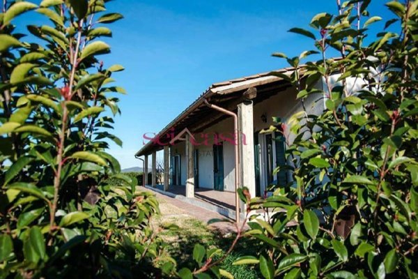 negozio in vendita a Grosseto