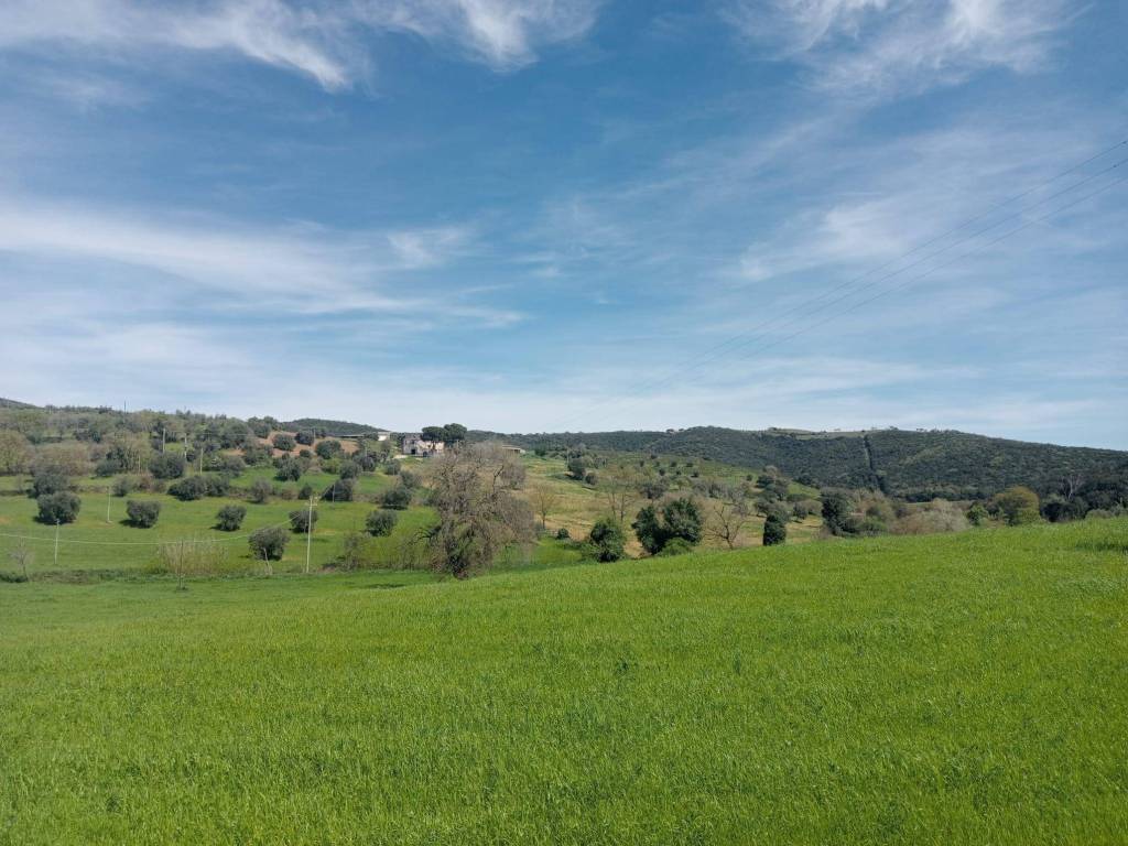 casa indipendente in vendita a Grosseto