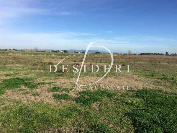 terreno agricolo in vendita a Grosseto