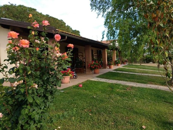 appartamento in vendita a Grosseto