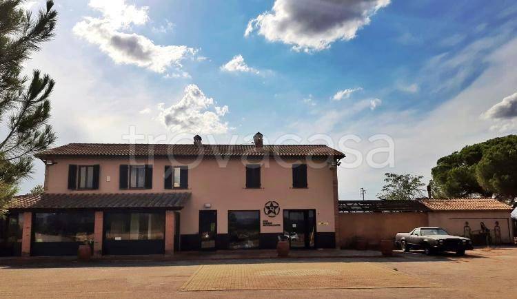 negozio in vendita a Grosseto in zona Braccagni