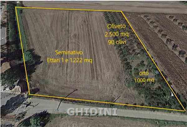 terreno agricolo in vendita a Grosseto