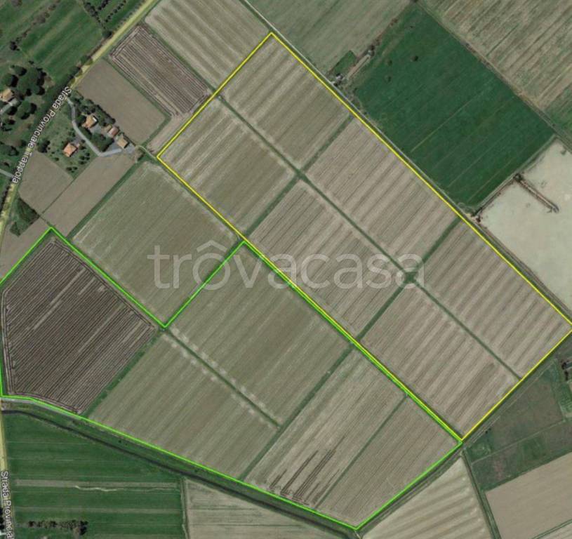 terreno agricolo in vendita a Grosseto in zona La Principina
