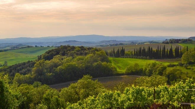 casa indipendente in vendita a Grosseto