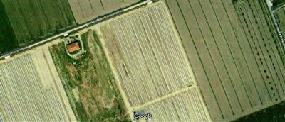 terreno agricolo in vendita a Grosseto