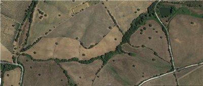 terreno agricolo in vendita a Grosseto