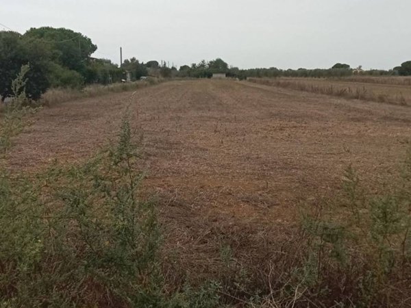 terreno agricolo in vendita a Grosseto in zona Orcagna