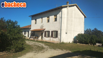 appartamento in vendita a Grosseto in zona Alberese