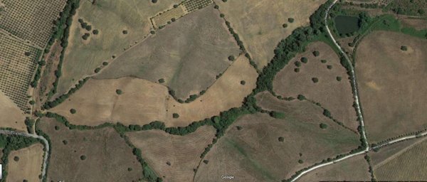 terreno agricolo in vendita a Grosseto