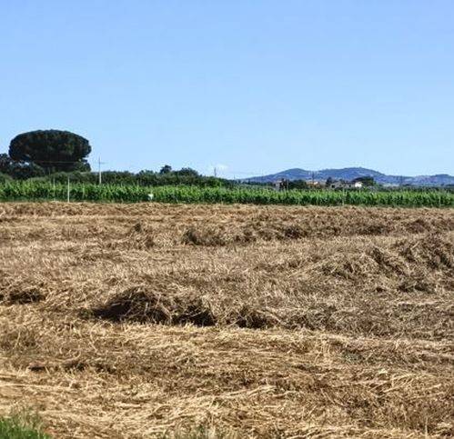 terreno agricolo in vendita a Grosseto in zona Roselle