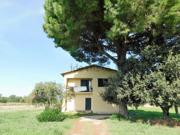 esavano in vendita a Grosseto