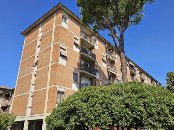 appartamento in vendita a Grosseto