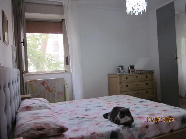 appartamento in vendita a Grosseto