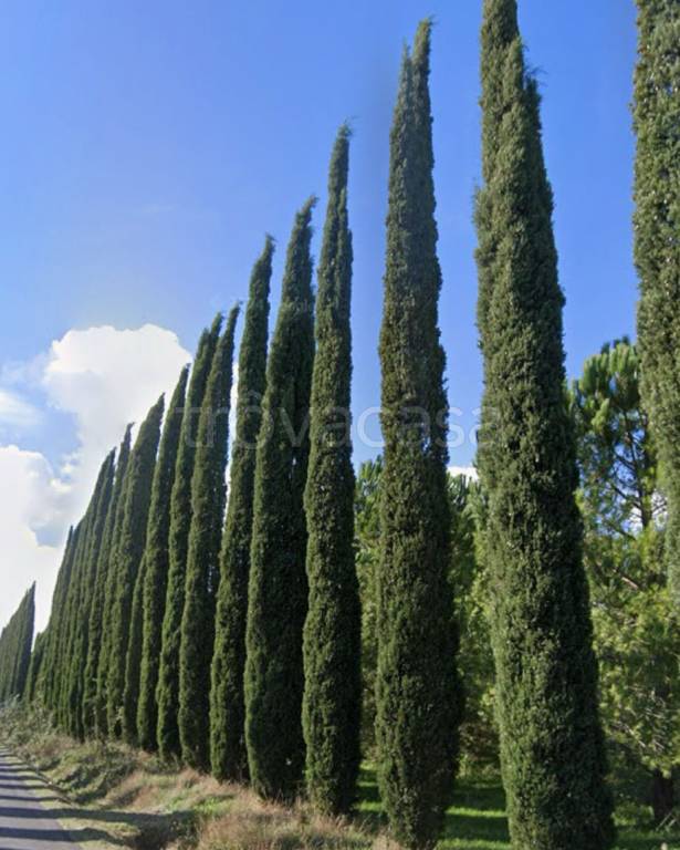 casa indipendente in vendita a Grosseto in zona Braccagni