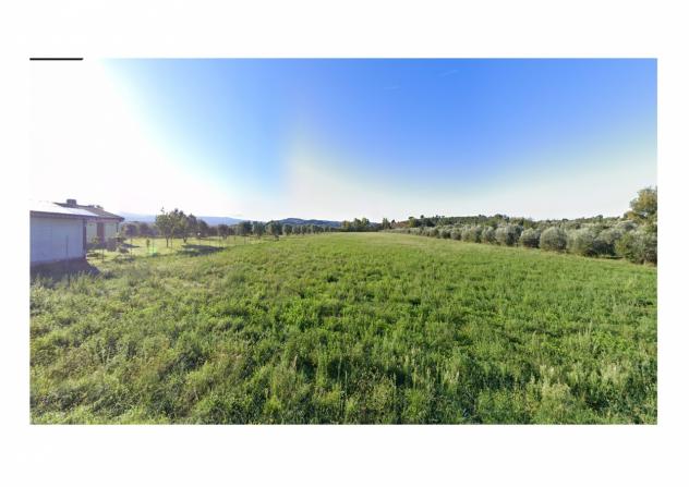 terreno agricolo in vendita a Grosseto in zona Istia d'Ombrone-Le Stiacciole