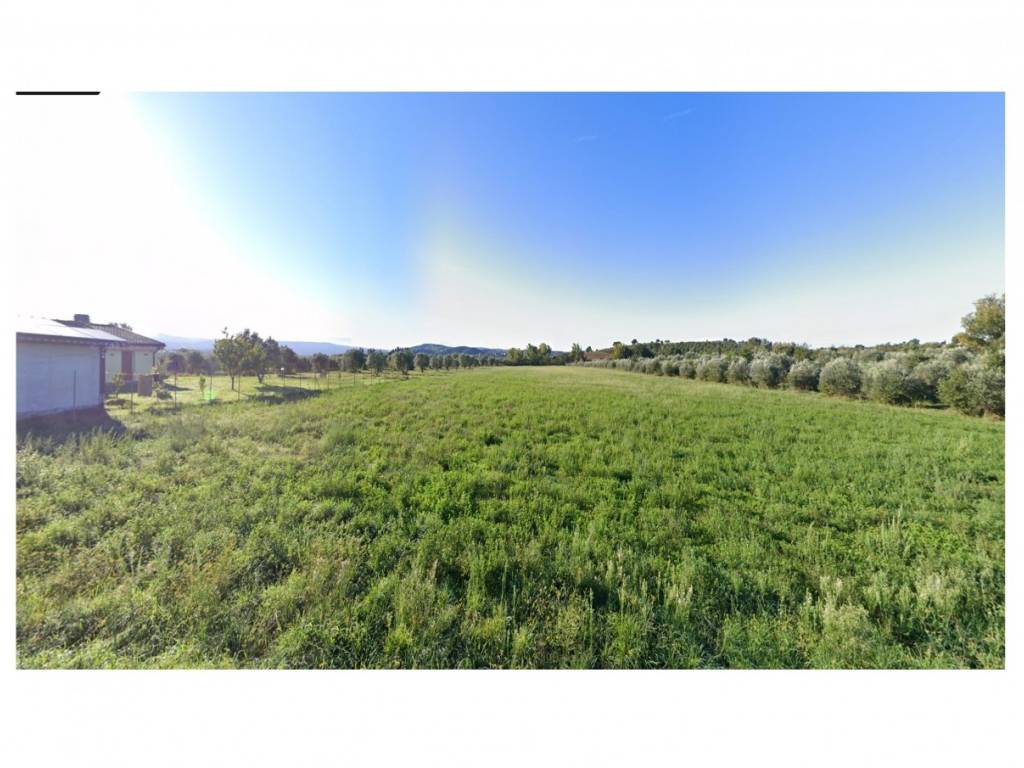 terreno agricolo in vendita a Grosseto in zona Istia d'Ombrone-Le Stiacciole