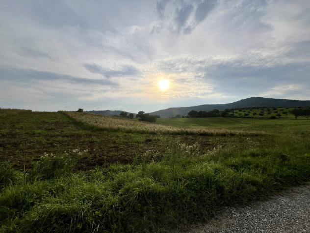 terreno agricolo in vendita a Grosseto in zona Roselle