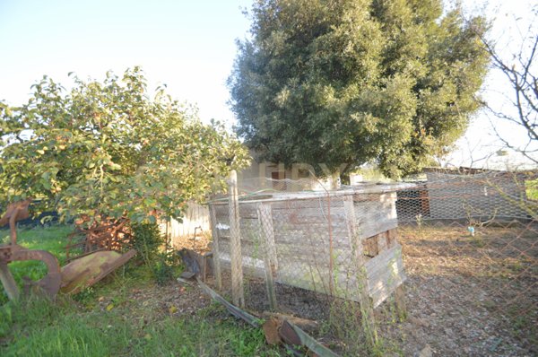 terreno agricolo in vendita a Grosseto in zona Centro Città