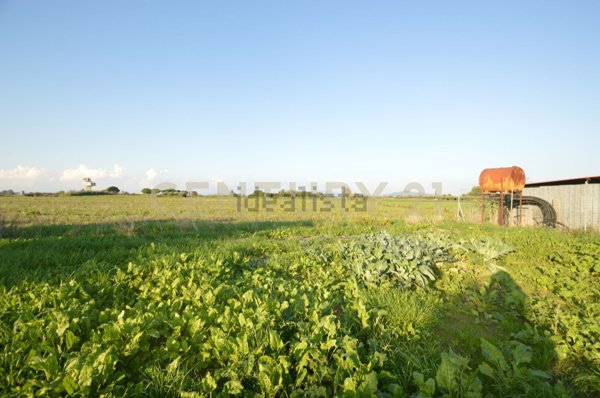 terreno agricolo in vendita a Grosseto in zona Principina a Terra