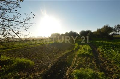 terreno agricolo in vendita a Grosseto in zona Centro Città
