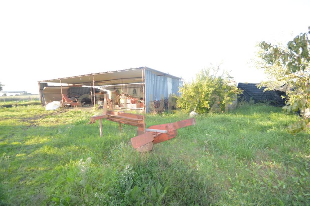 terreno agricolo in vendita a Grosseto in zona Centro Città