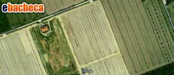 terreno agricolo in vendita a Grosseto