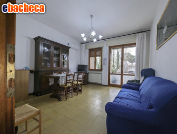 appartamento in vendita a Grosseto