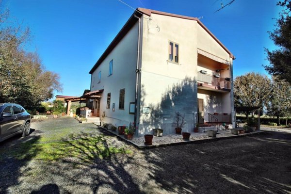 negozio in vendita a Grosseto