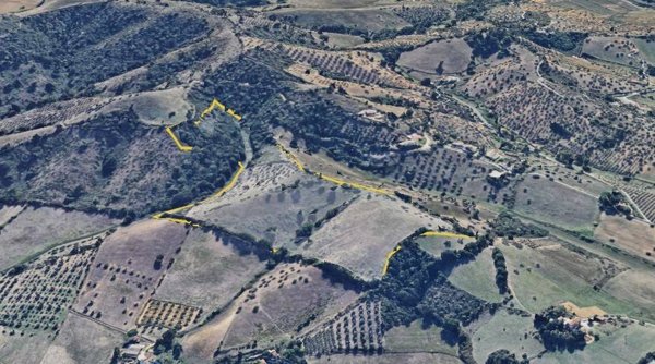 terreno agricolo in vendita a Grosseto