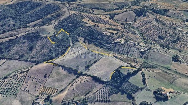 terreno agricolo in vendita a Grosseto
