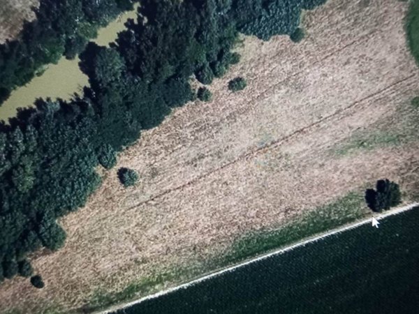 terreno agricolo in vendita a Grosseto in zona Enaoli