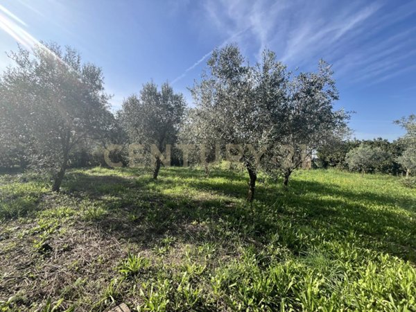 appartamento in vendita a Grosseto