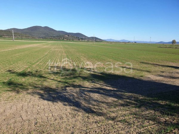 terreno agricolo in vendita a Grosseto in zona La Principina