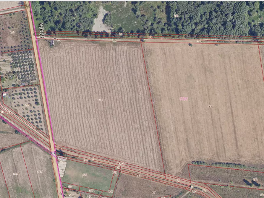 terreno agricolo in vendita a Grosseto in zona Istia d'Ombrone-Le Stiacciole