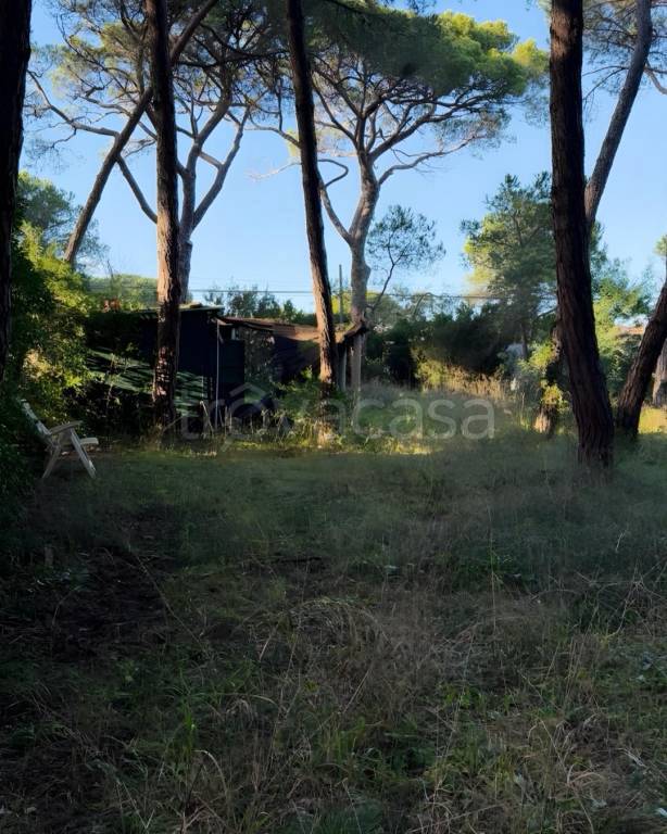 casa indipendente in vendita a Grosseto in zona Marina di Grosseto