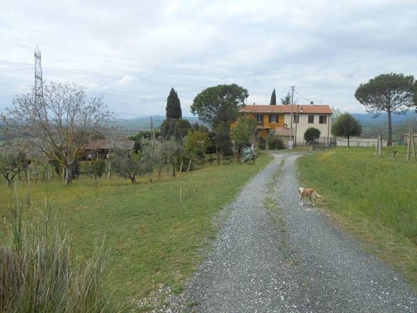 esavano in vendita a Grosseto