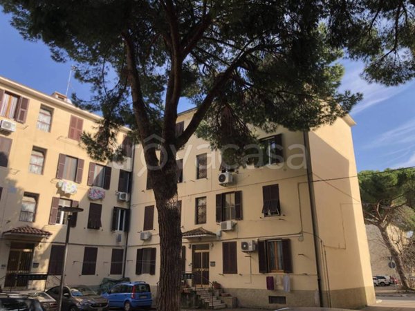 appartamento in vendita a Grosseto