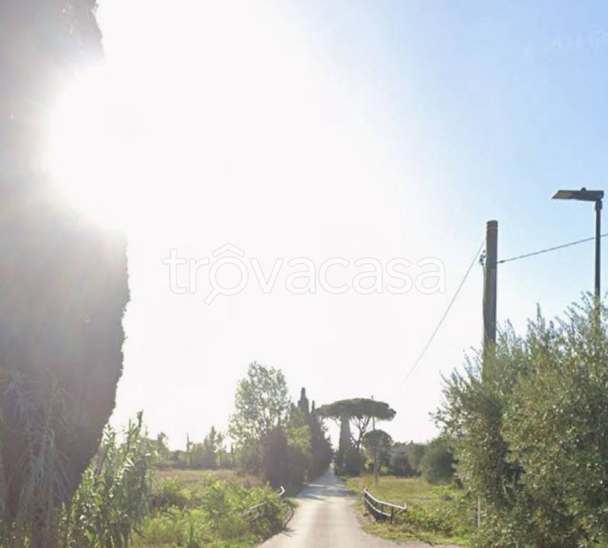 appartamento in vendita a Grosseto in zona Braccagni