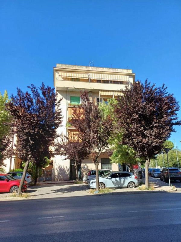 appartamento in vendita a Grosseto