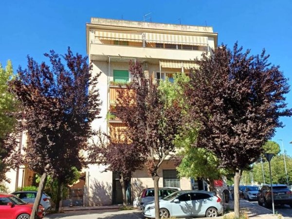 appartamento in vendita a Grosseto